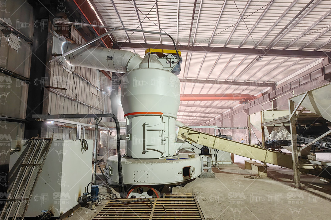 Modern tailings processing plant with grinding mills
